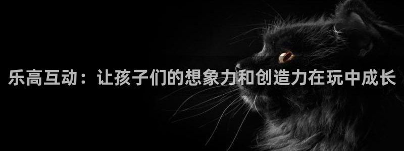 熊猫体育五金厂：乐高互动：让孩子们的想象力和创造力在玩中成长