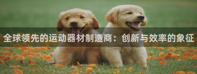 熊猫体育娱乐40996