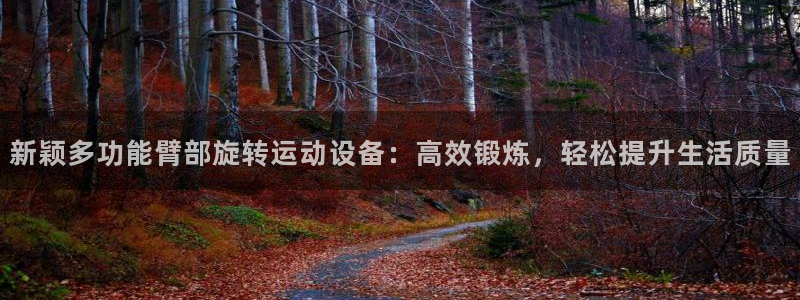 熊猫体育官网下载招商电话地址：新颖多功能臂部旋转运动设备：高