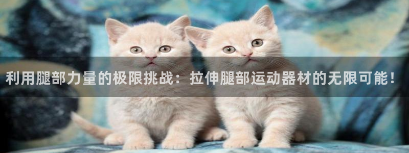 熊猫体育官网下载平台注册要钱吗安全吗