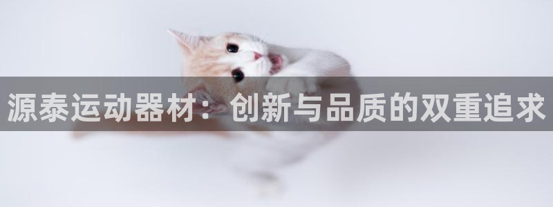 熊猫体育官网下载娱乐：源泰运动器材：创新与品质的双重追求