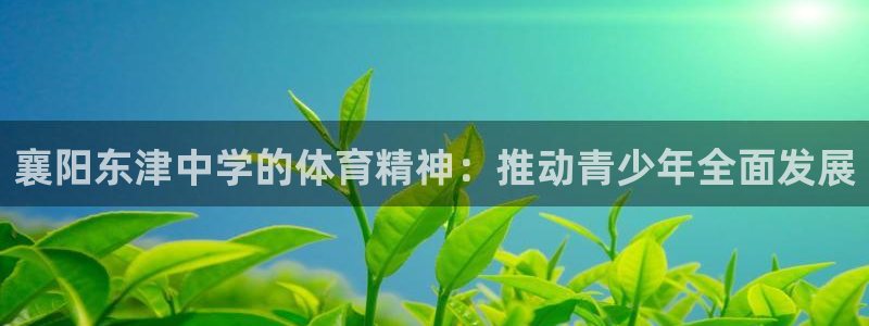 皇冠678体育：襄阳东津中学的体育精神：推动青少年全面发展