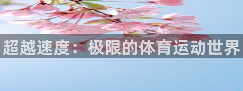 678体育app：超越速度：极限的体育运动世界