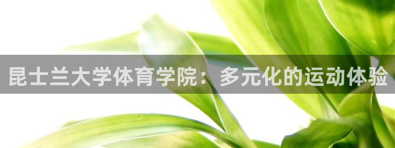 678体育：昆士兰大学体育学院：多元化的运动体验