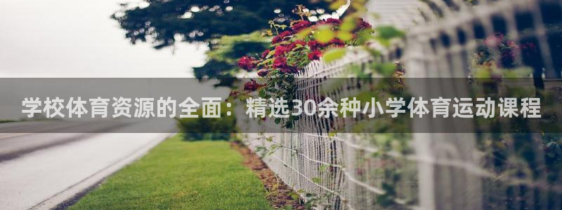 678体育知识：学校体育资源的全面：精选30余种小学体育运动课程