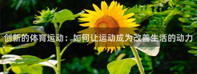 678体育：创新的体育运动：如何让运动成为改善生活的动力