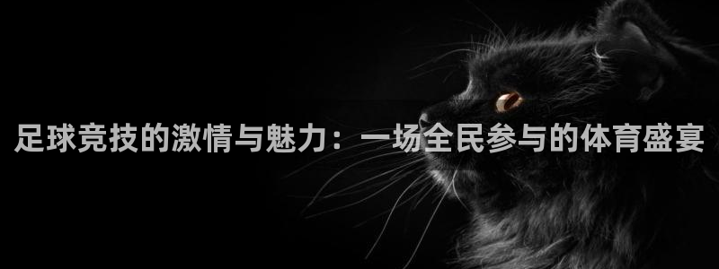 678体育知识：足球竞技的激情与魅力：一场全民参与的体育盛宴