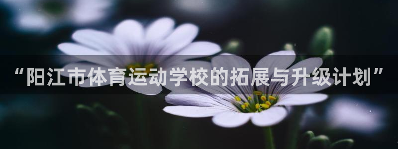 678体育：“阳江市体育运动学校的拓展与升级计划”