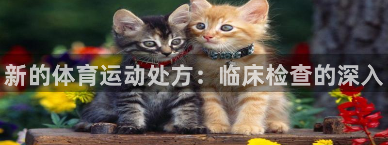 678体育官网地址：新的体育运动处方：临床检查的深入