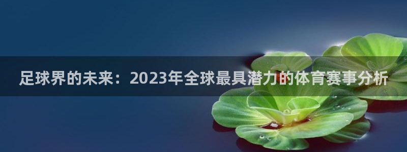 678体育官网下载：足球界的未来：2023年全球最具潜力的体育赛事分析